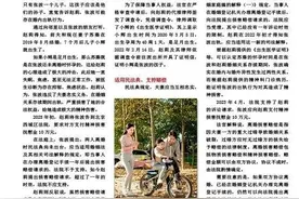 离婚后，发现前夫曾婚内出轨，可获赔偿吗？图片