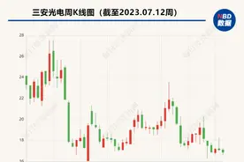 三安光电上半年净利润预降超75%  员工持股计划设置140亿元营收考核目标图片