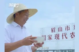 30秒｜四川眉山永丰村村歌诞生 快来听听怎么样图片