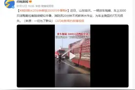 消防喷水20分钟解救3000只中暑鸭：为车主挽回约7万元损失图片
