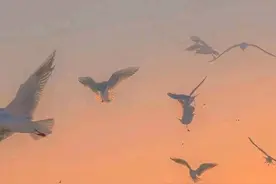 积极向上，人生的意义图片