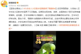 逗鸟也得当心！九旬老人小区散步逗鹦鹉得了鹦鹉热图片