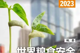 联合国粮农组织最新报告：四年来全球新增1.22亿饥饿人口图片