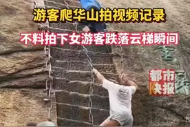 律师解读“华山游客坠落谁担责”：如景区未尽安全保障义务应担责图片