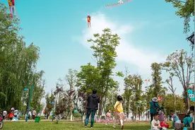 牛屎湖蝶变“牛花湖”——常德西洞庭管理区一个湖泊的生态环境变形记图片