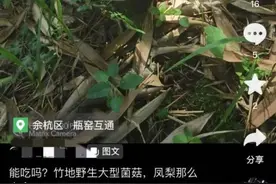 别吃！千万别吃！最近，杭州多地都能看到！严重可致命图片