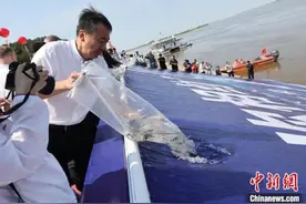 中俄边境水域联合增殖放流 34万尾鲟鳇鱼苗游进中俄两大界江图片
