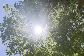 上海：连续三天橙色高温预警高挂 谨防可致命劳力型热射病视频封面