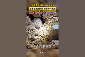 来看现实版的《西游记》，小猴子被困树洞，乖乖等待救援，网友：教会它七十二变和筋斗云图片