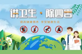 回忆铜陵的“煮臭虫”图片