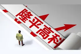 隆平高科上半年至少亏1.2亿：下半年彻底解决美元汇率波动影响图片