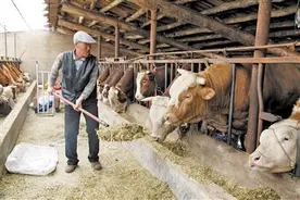 查干沐沦河畔兄弟情深图片