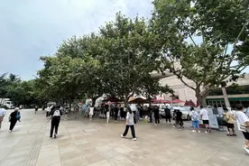 观察｜博物馆“预约难”等困境，如何破解？图片