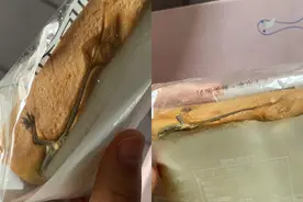 女子称在未拆封面包内发现半只壁虎，厂家：已接到反映，会按规定退一赔十视频封面