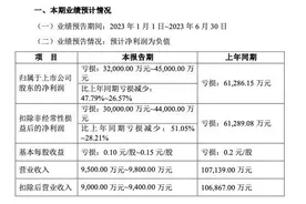 困境里的*ST搜特危机重重，上半年归母净利润预亏3.2~4.5亿元图片