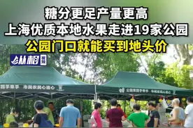 糖分更足产量更高，上海优质本地水果走进19家公园，公园门口就能买到地头价图片