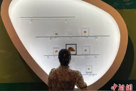 世界三大琥珀产区逾500件琥珀珍品亮相河北图片