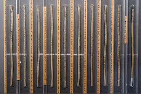 比《九章算术》更资深的“科技老祖宗”，它们是藏于荆楚大地的中国智慧图片