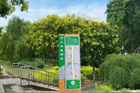 全程6公里 房山新增一条健康绿道图片
