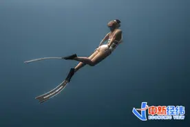 揭秘潜水教练：考证5万起步，“何非们”月薪不过万图片