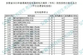 安徽2023年高招提前批高职（专科）平行志愿投档最低分排名公布图片