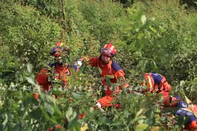 两女子骑电动车上山玩，不慎跌落山沟图片