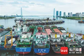 海南全省16293艘渔船进港避风图片