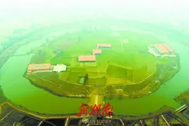 发现湖南②丨城头山深呼吸，闻一闻远古稻花香图片