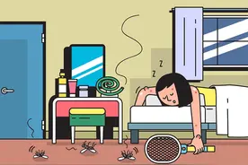 蚊子为啥总叮你？中疾控：蚊子“青睐”4类人图片