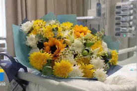 谢谢你，凯凯！淄博8岁男童离世，捐献器官让8人获得新生图片