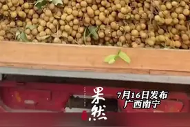 网友拍下广西路边水果价格，榴莲38元一个，火龙果10元18个……@庞庞（教探店达人图片