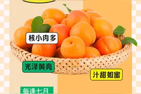 海报丨盛夏甘肃瓜果飘香 给你一个甜甜的夏天~图片