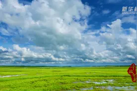 千城百县看中国丨内蒙古鄂尔多斯：纳凉正当时图片