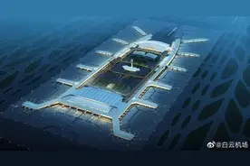 “南方大蟑螂”出现在北方，竟是因为这件事？图片