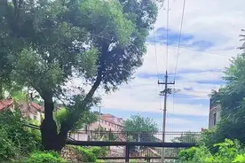 博山区樵岭前村：小桥流水人家 风光秀丽清凉图片