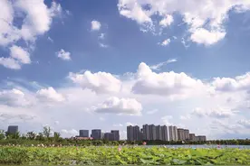 荷花别样红图片
