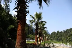 鹤峰下坪：探秘火热建设中的留驾露营基地图片