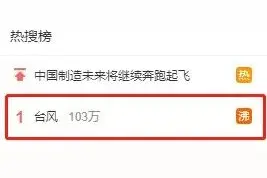 热搜第一！台风二次登陆，160斤记者风中像纸片，鲸鱼被吹上岸？图片