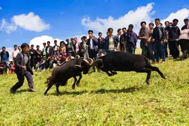 “金沙瑶池”等你来！2023彝族火把节，四川金阳县将举办10大精彩活动图片