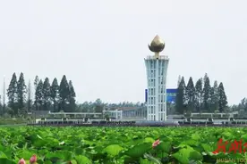美丽！知性！荷花世界抖音推广大使来了图片