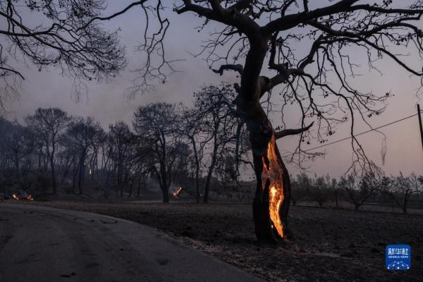 ϣ���ŵ佼�ⷢ��Ұ��