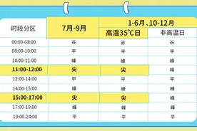 电动汽车什么时候充电最便宜？狮妹找来供电专家聊了聊｜狮妹帮帮忙图片