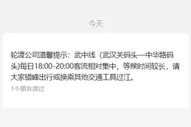 武汉轮渡最新提醒图片