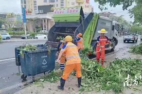 电白城区有序消除台风“后遗症”，力促生活秩序恢复图片