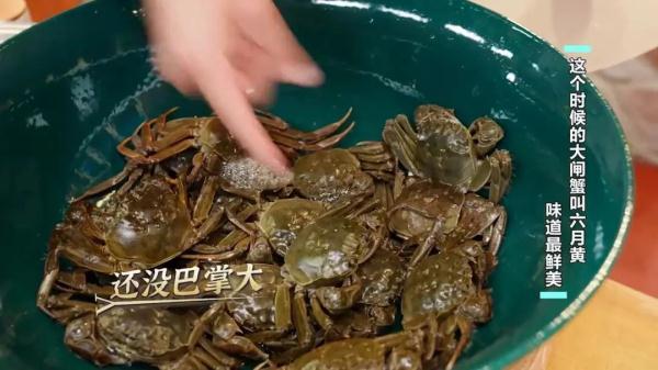 阳澄湖大闸蟹几月份的最好吃（这个时候的大闸蟹叫六月黄）