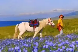 蓝蓝的天空白云朵朵.视频深蓝色温度图片