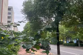 时光清浅，共建美好图片