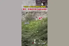 平顶山一景区女子翻越护栏疑要跳崖，景区回应：系情侣吵架，后被男友救起图片