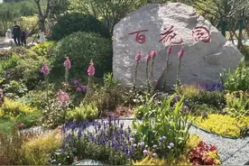 沉鱼落雁闭月羞花图片