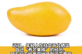 年轻人给芒果核梳毛被指“不务正业”，回应：精神寄托，类似大学生养纸狗图片